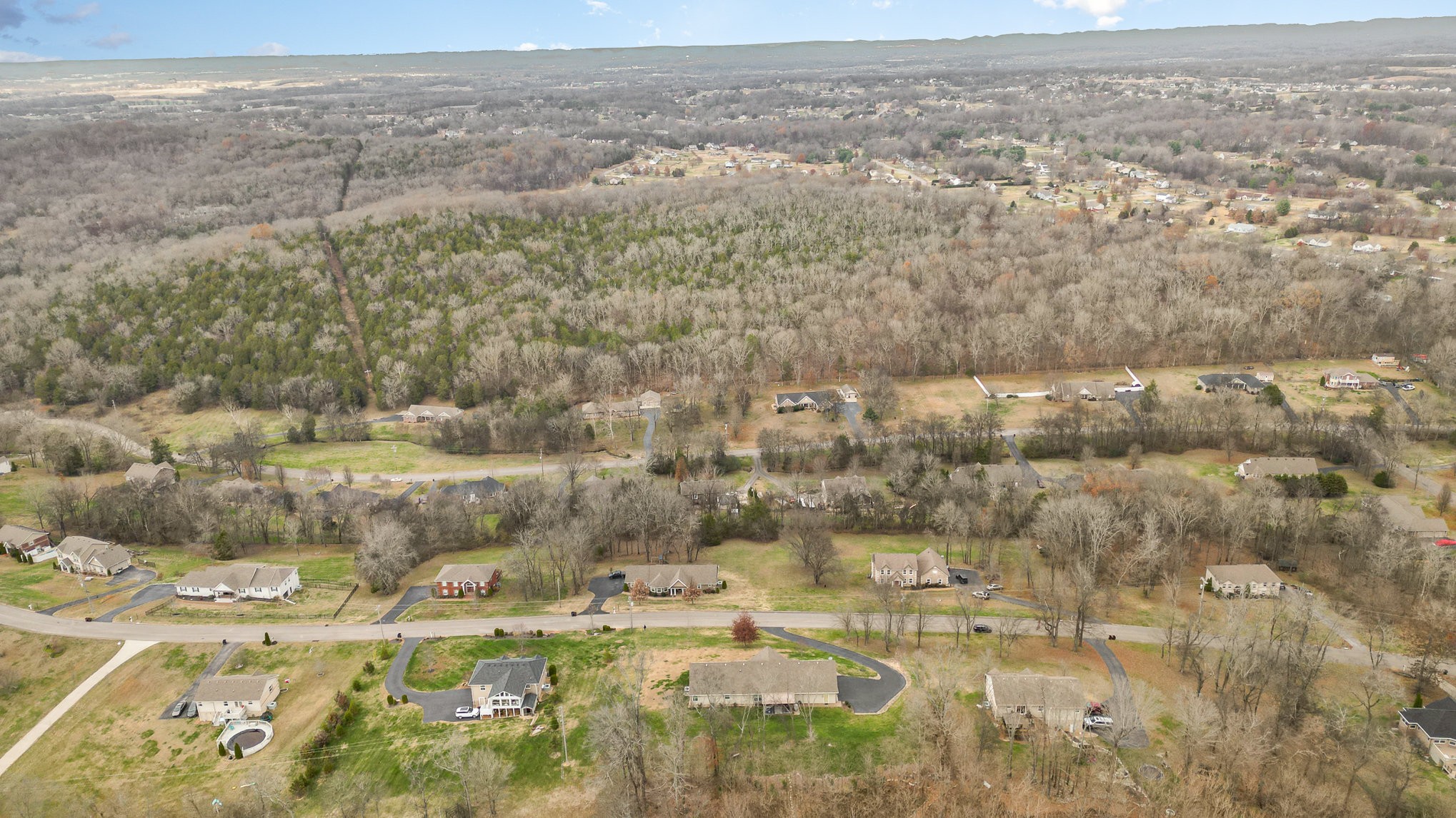 1525 Heller Ridge Spring Hill, TN 37174 - Photo 44 of 57
