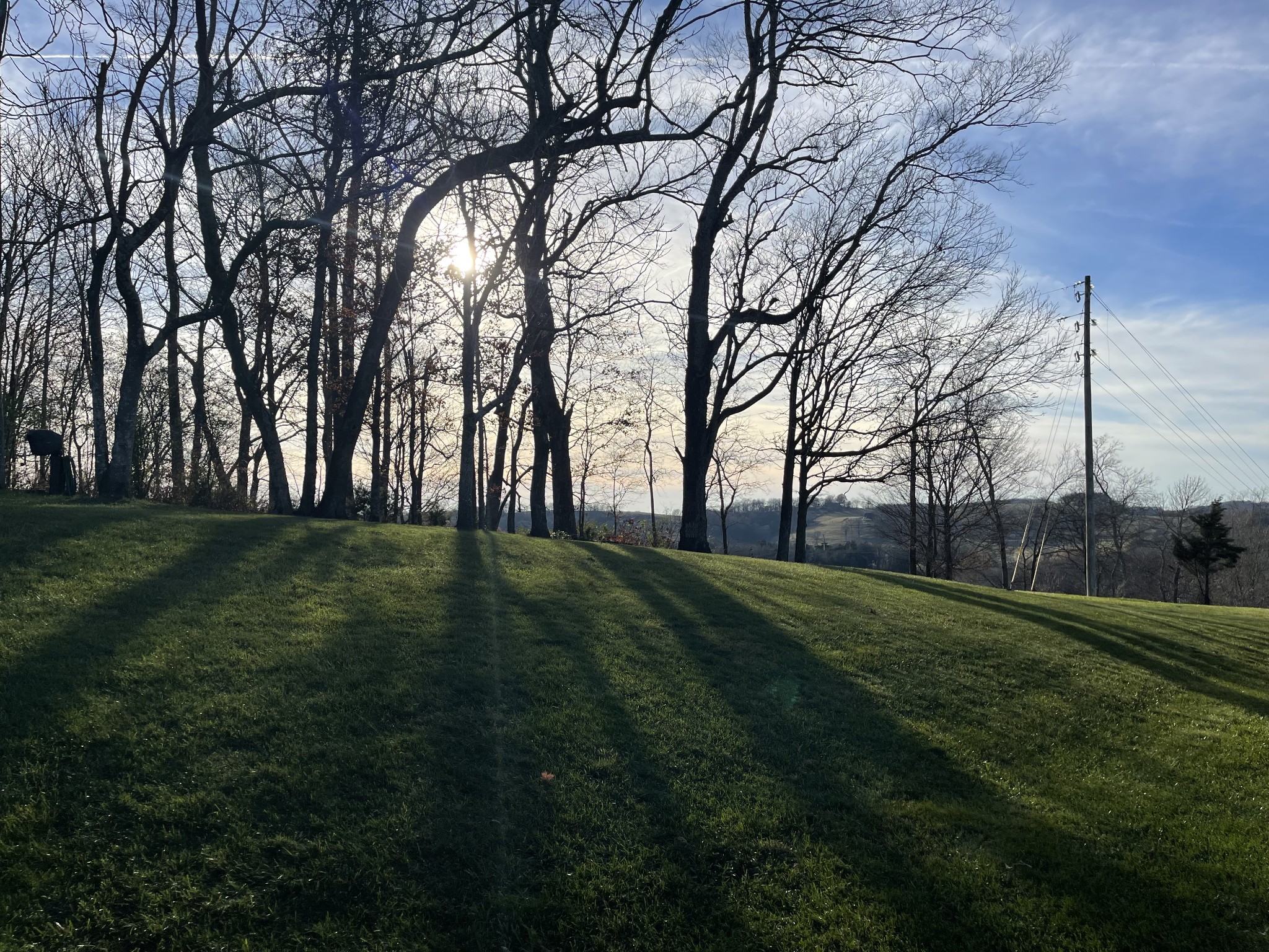 1525 Heller Ridge Spring Hill, TN 37174 - Photo 51 of 57 a view of grassy field with trees