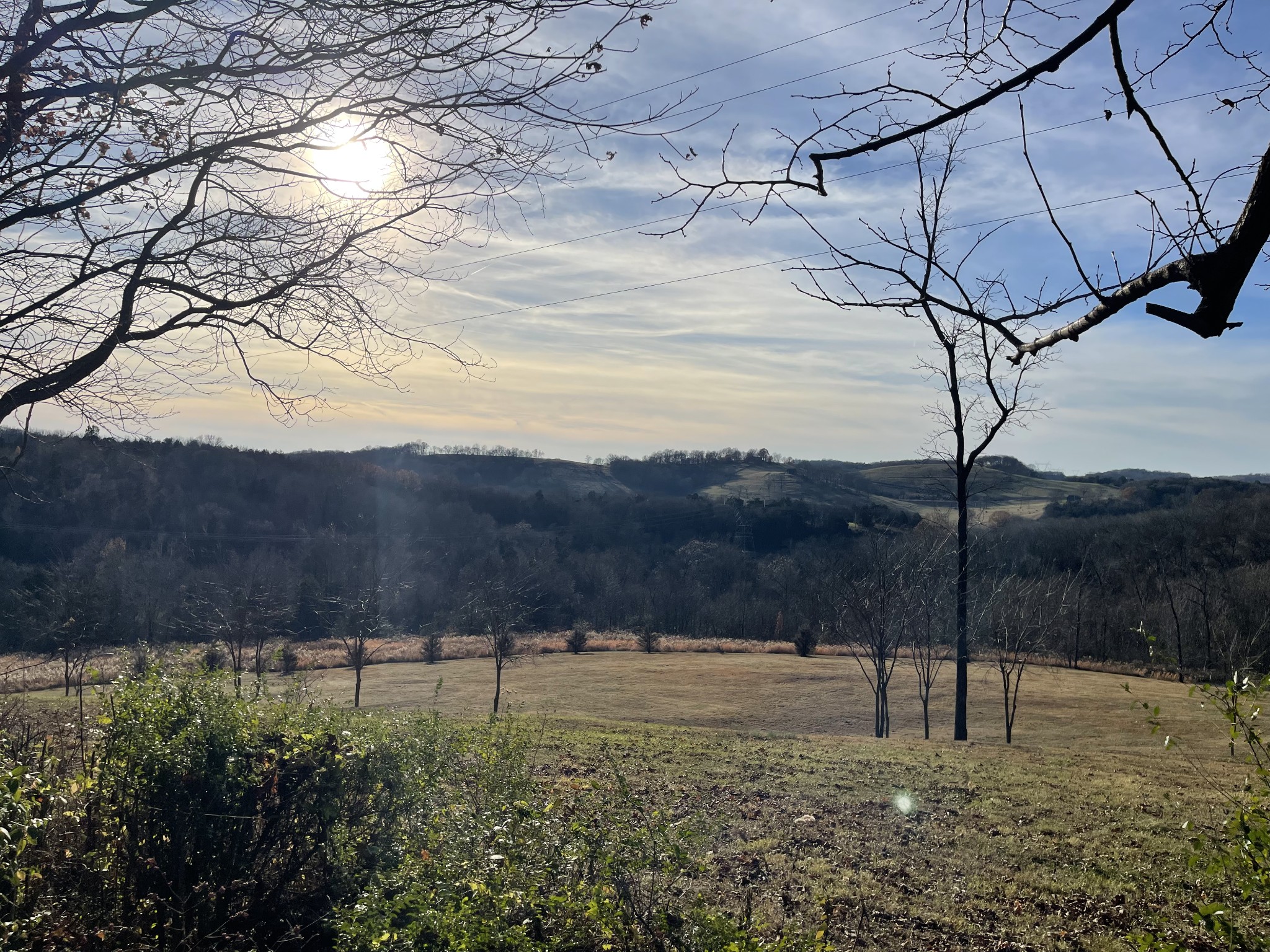 1525 Heller Ridge Spring Hill, TN 37174 - Photo 52 of 57 a view of a yard