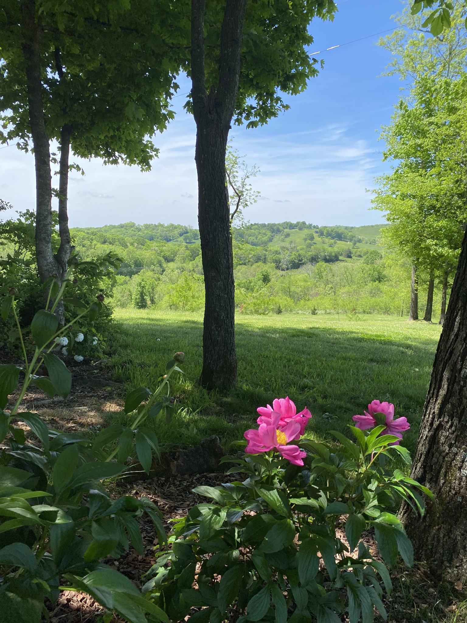 1525 Heller Ridge Spring Hill, TN 37174 - Photo 53 of 57