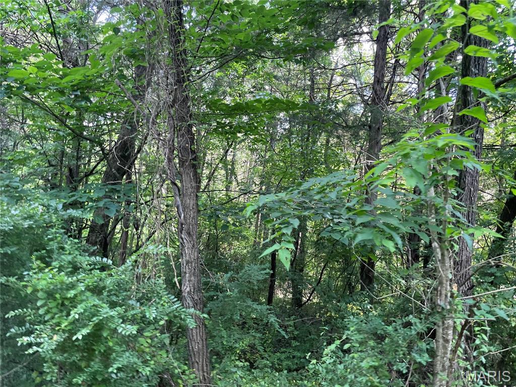 0 Oak Grove School Road Union, MO 63084 - Photo 11 of 13