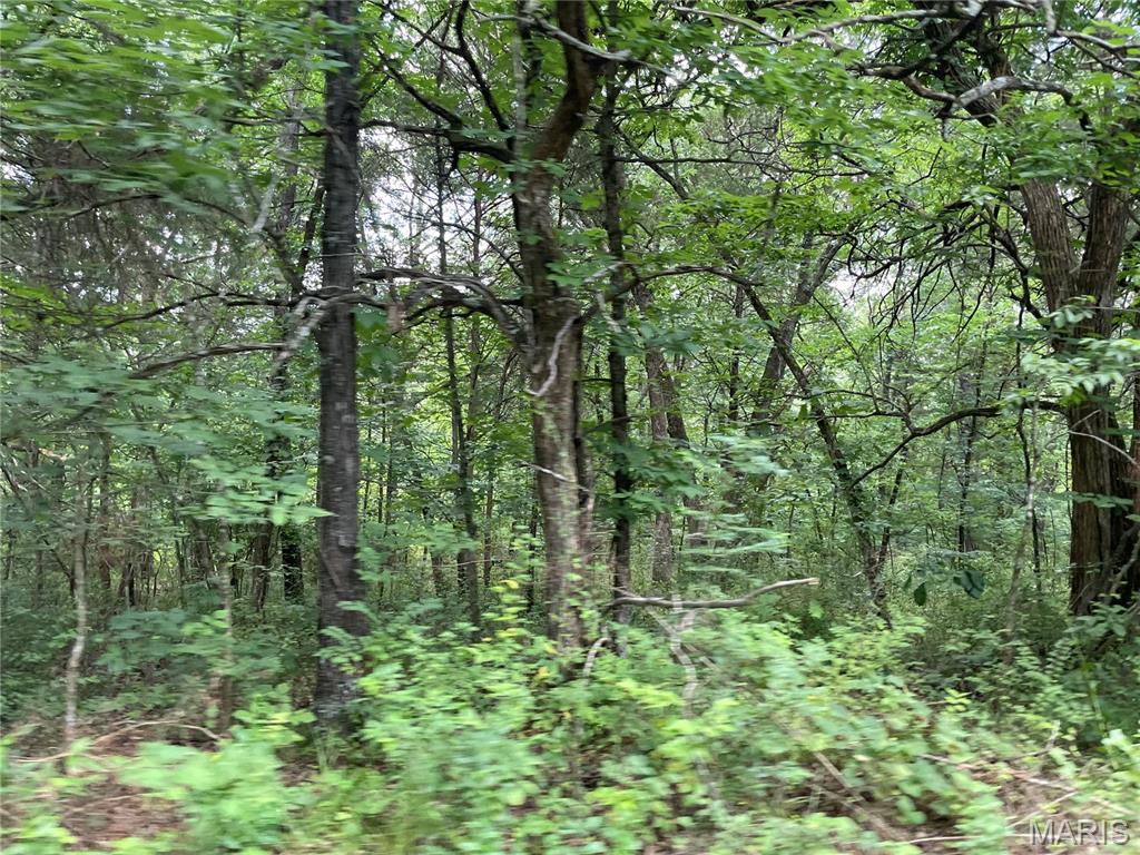 0 Oak Grove School Road Union, MO 63084 - Photo 12 of 13