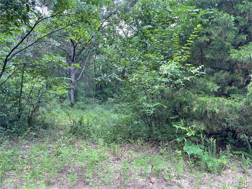 0 Oak Grove School Road Union, MO 63084 - Photo 13 of 13