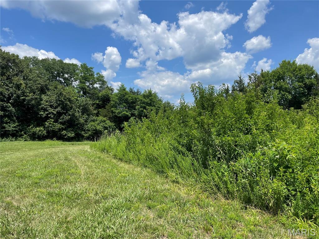 0 Oak Grove School Road Union, MO 63084 - Photo 3 of 13