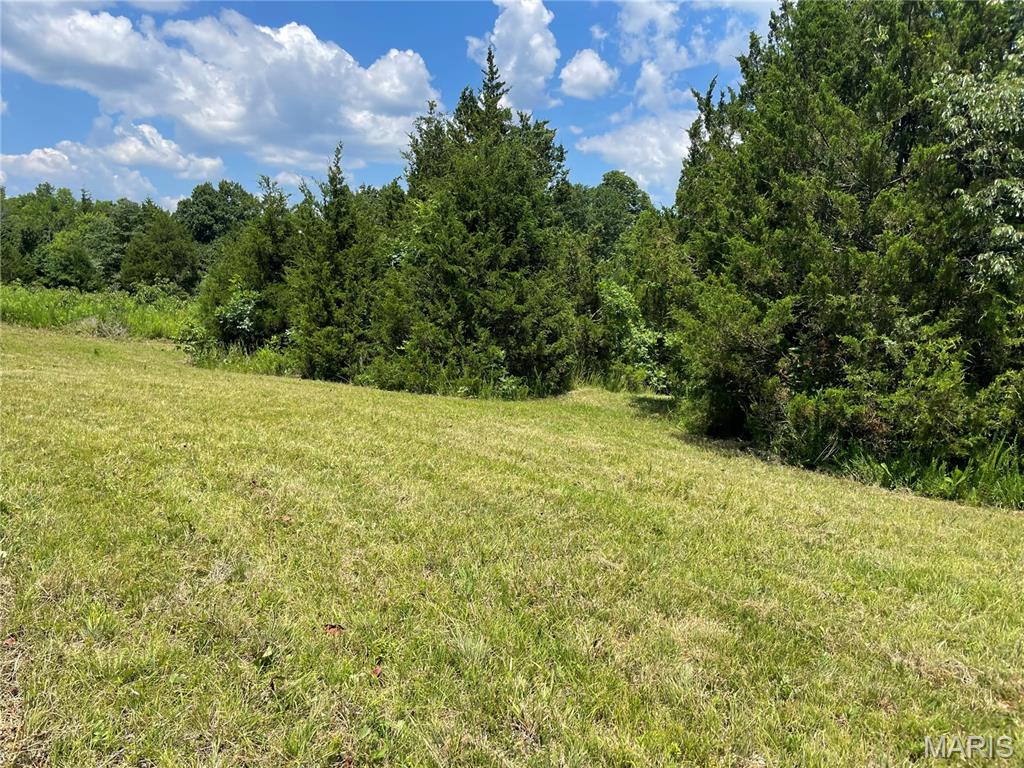 0 Oak Grove School Road Union, MO 63084 - Photo 6 of 13