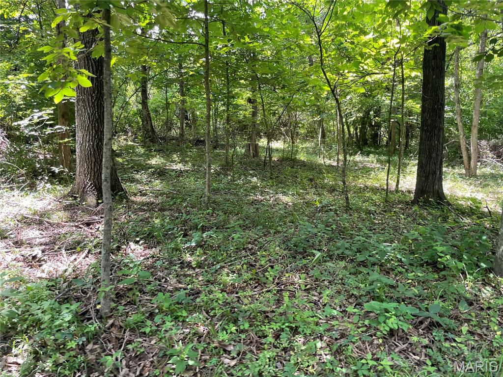 0 Oak Grove School Road Union, MO 63084 - Photo 8 of 13