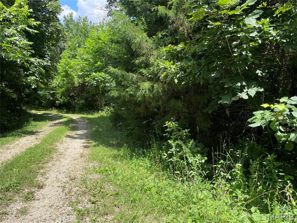 0 Oak Grove School Road Union, MO 63084 - Photo 9 of 13