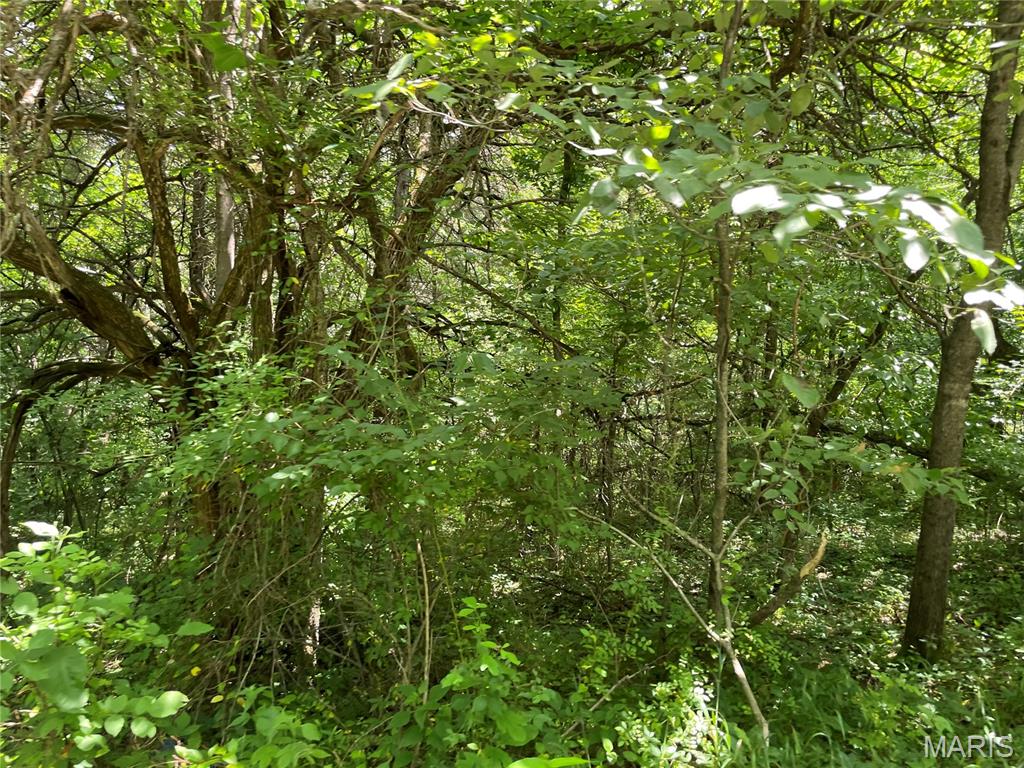 0 Oak Grove School Road Union, MO 63084 - Photo 10 of 13