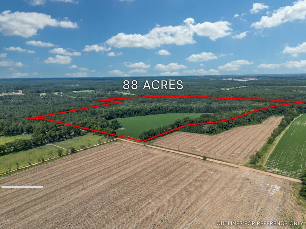 Tbd New Bethel Road Jesup, GA 31545 - Photo 3 of 26 Gallery Image 3