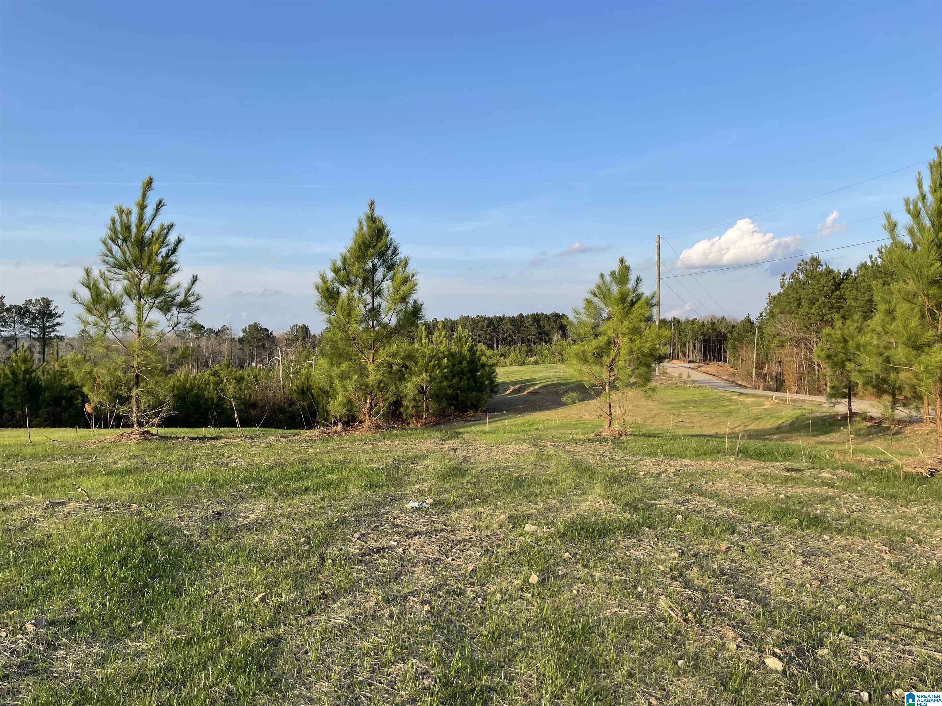 1538 Joinertown Road, Unit 2 Columbiana, AL 35051 - Photo 2 of 6