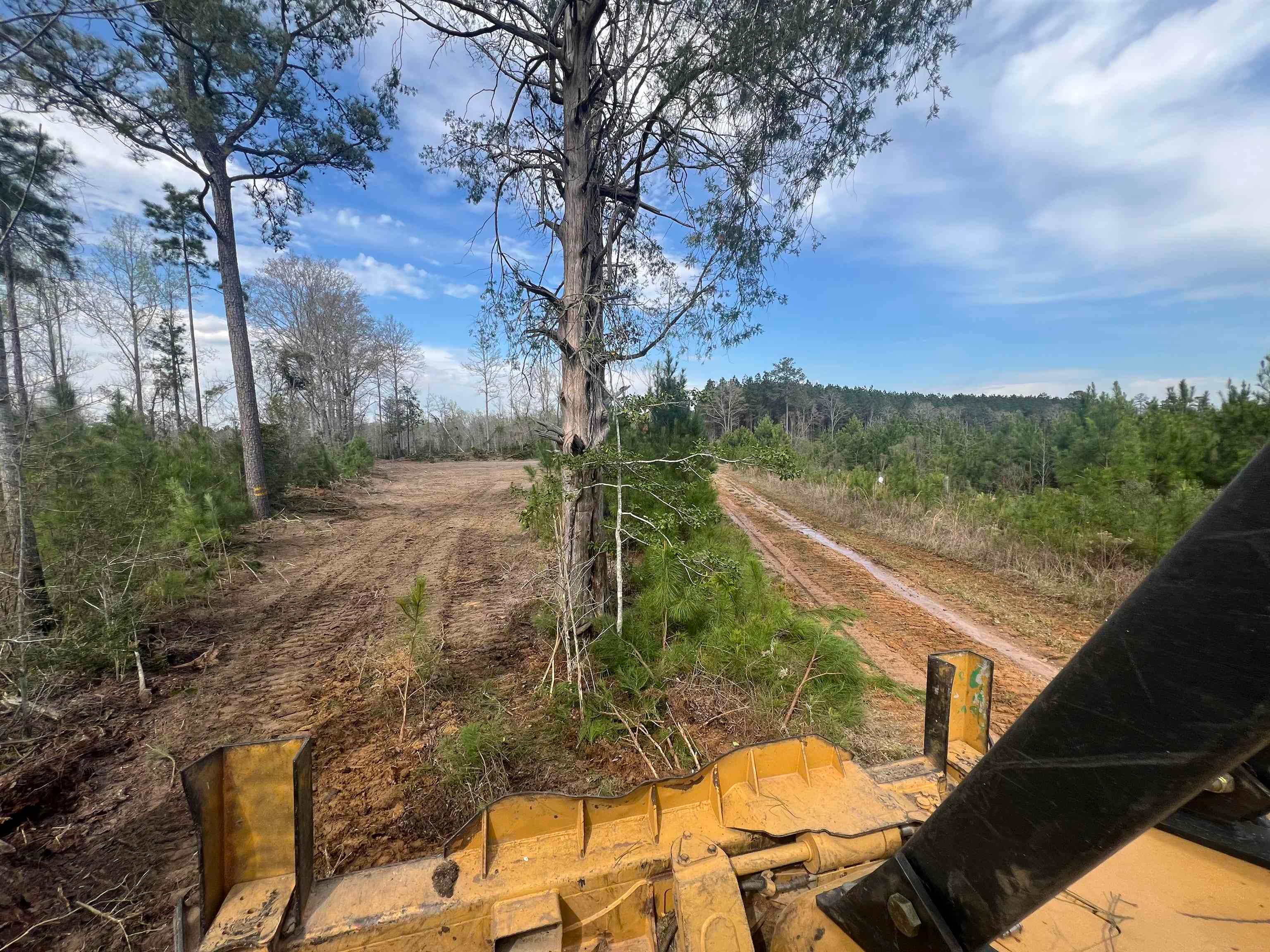 0 Cedar Cut Road Rutledge, AL 36071 - Photo 17 of 35 Gallery Image 17