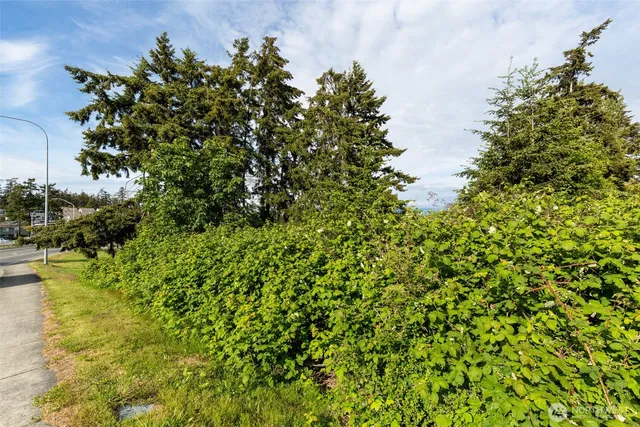 $750,000 | 20 (lot 3) Oak Harbor, Oak Harbor, WA 98277
