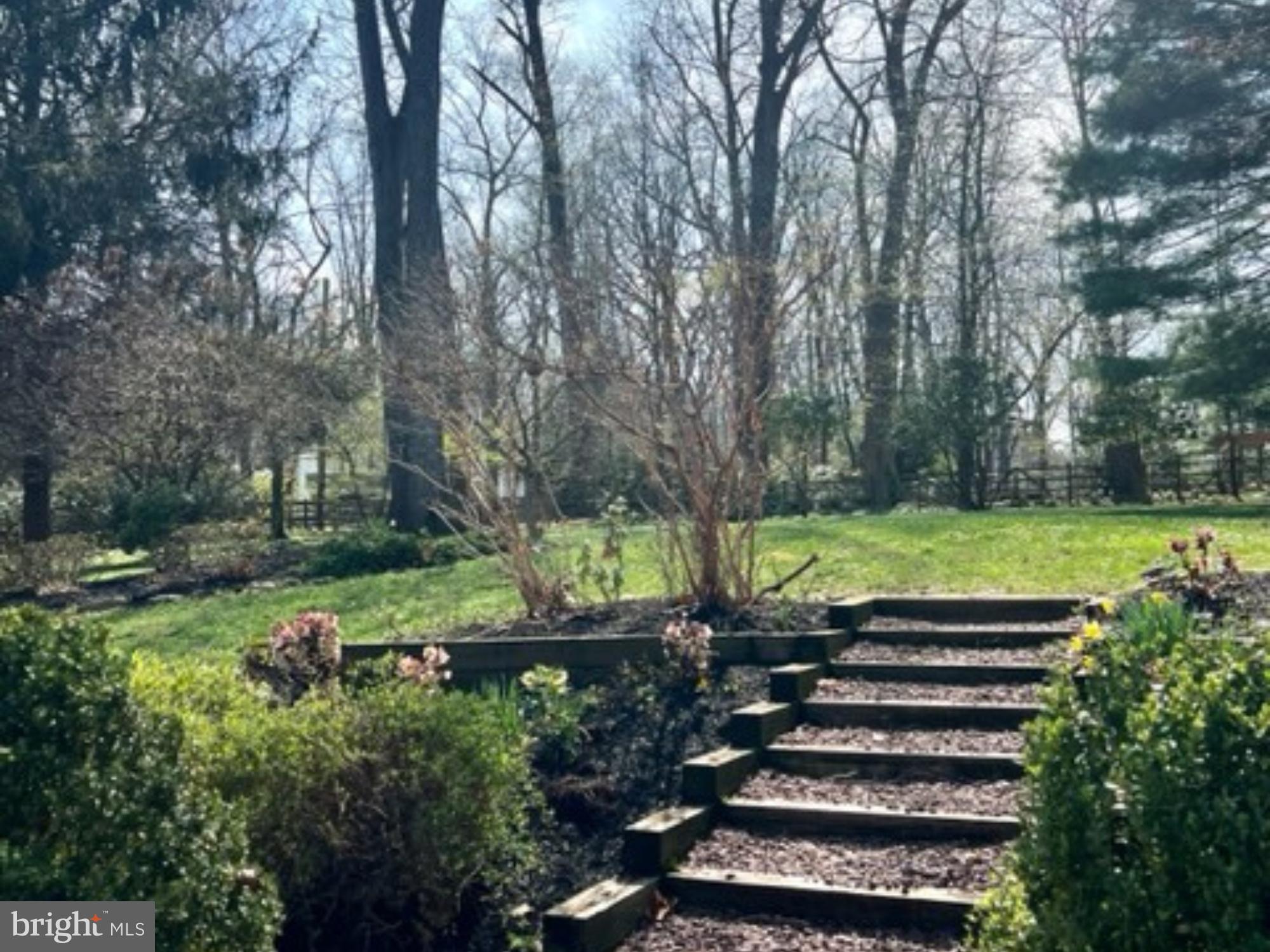 650 Timber Lane Devon, PA 19333 - Photo 46 of 50 Steps to Yard