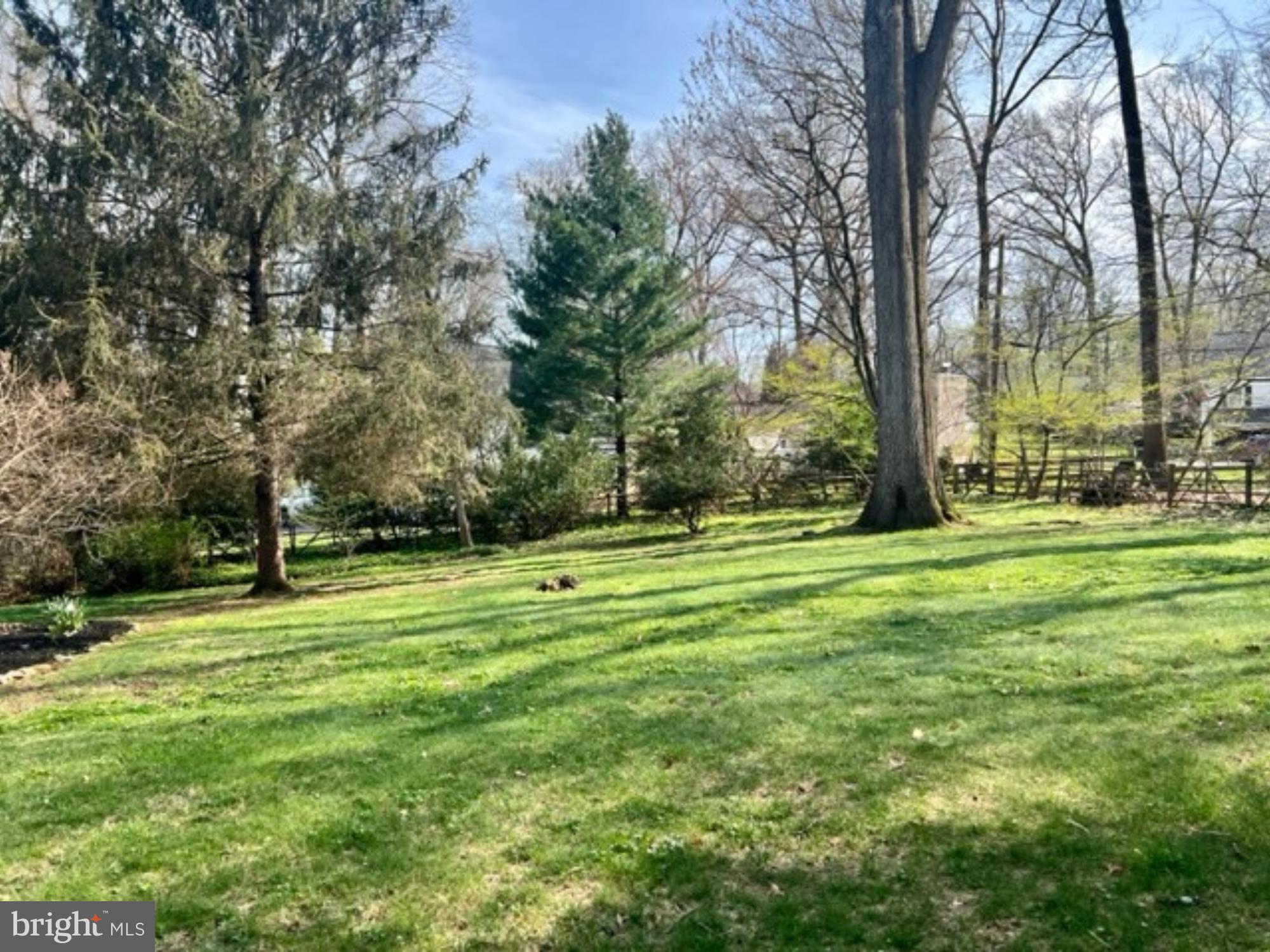 650 Timber Lane Devon, PA 19333 - Photo 48 of 50 Spacious Yard Area