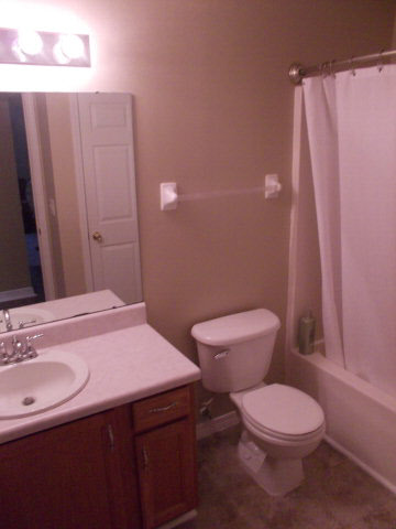 13241 Labradors Run Foley, AL 36535 - Photo 2 of 16 bathroom 2