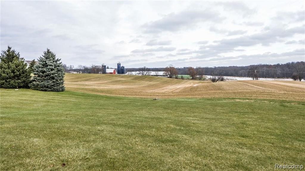 8702 Gross Road Dexter, MI 48130 - Photo 4 of 72