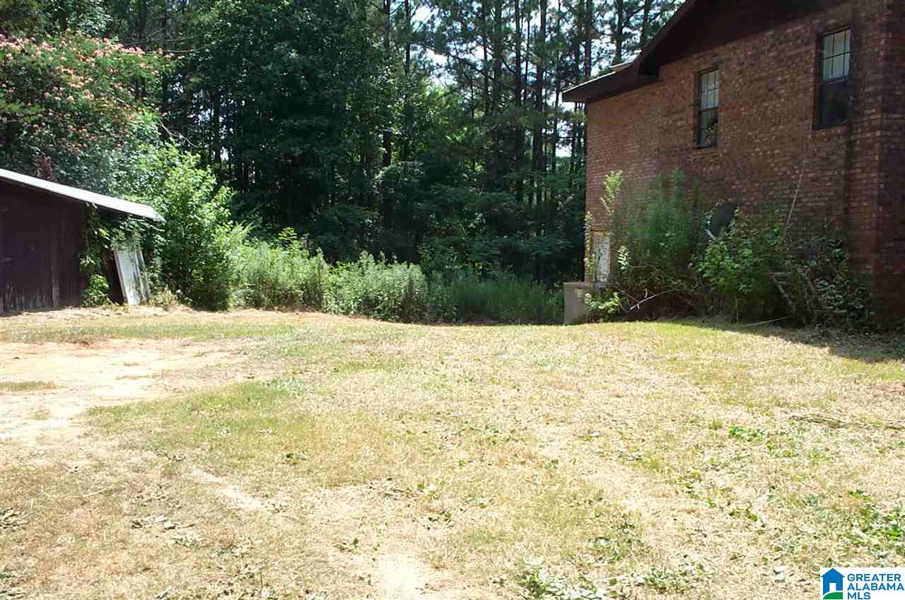 3371 County Road 3 Delta, AL 36258 - Photo 8 of 27