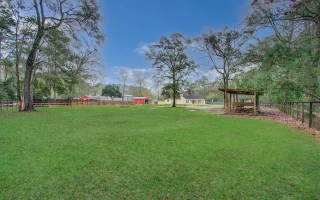 a view of a park with large trees