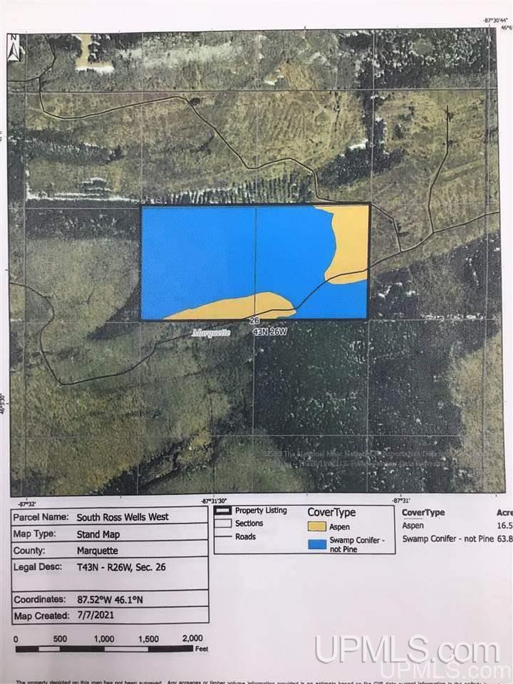 Tbd Off Of Co Rd 557, Unit 1 Arnold, MI 49819 - Photo 16 of 16