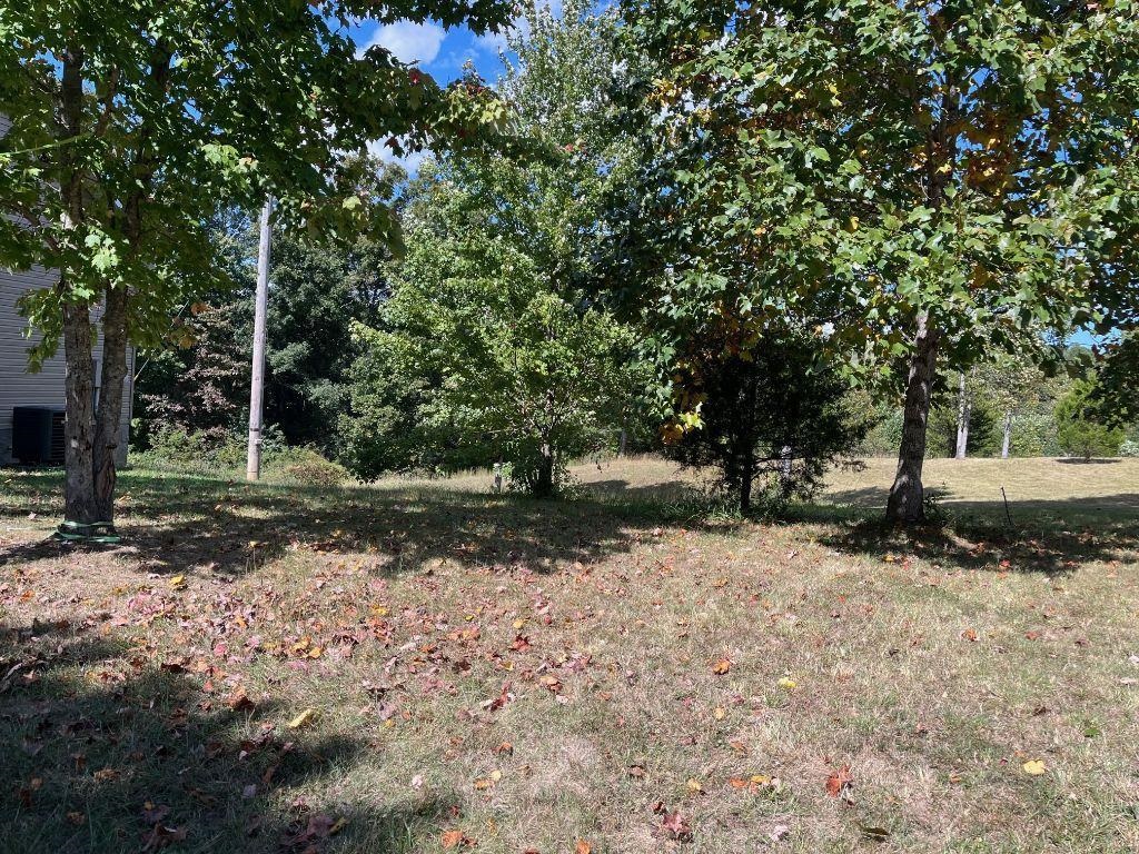 North Sand Ridge Olive Hill, KY 41164 - Photo 5 of 6