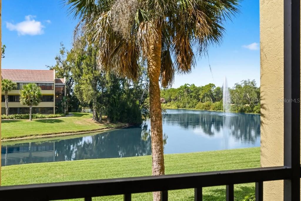 4540 Bee Ridge Road, Unit 175 Sarasota, FL 34233 - Photo 13 of 50