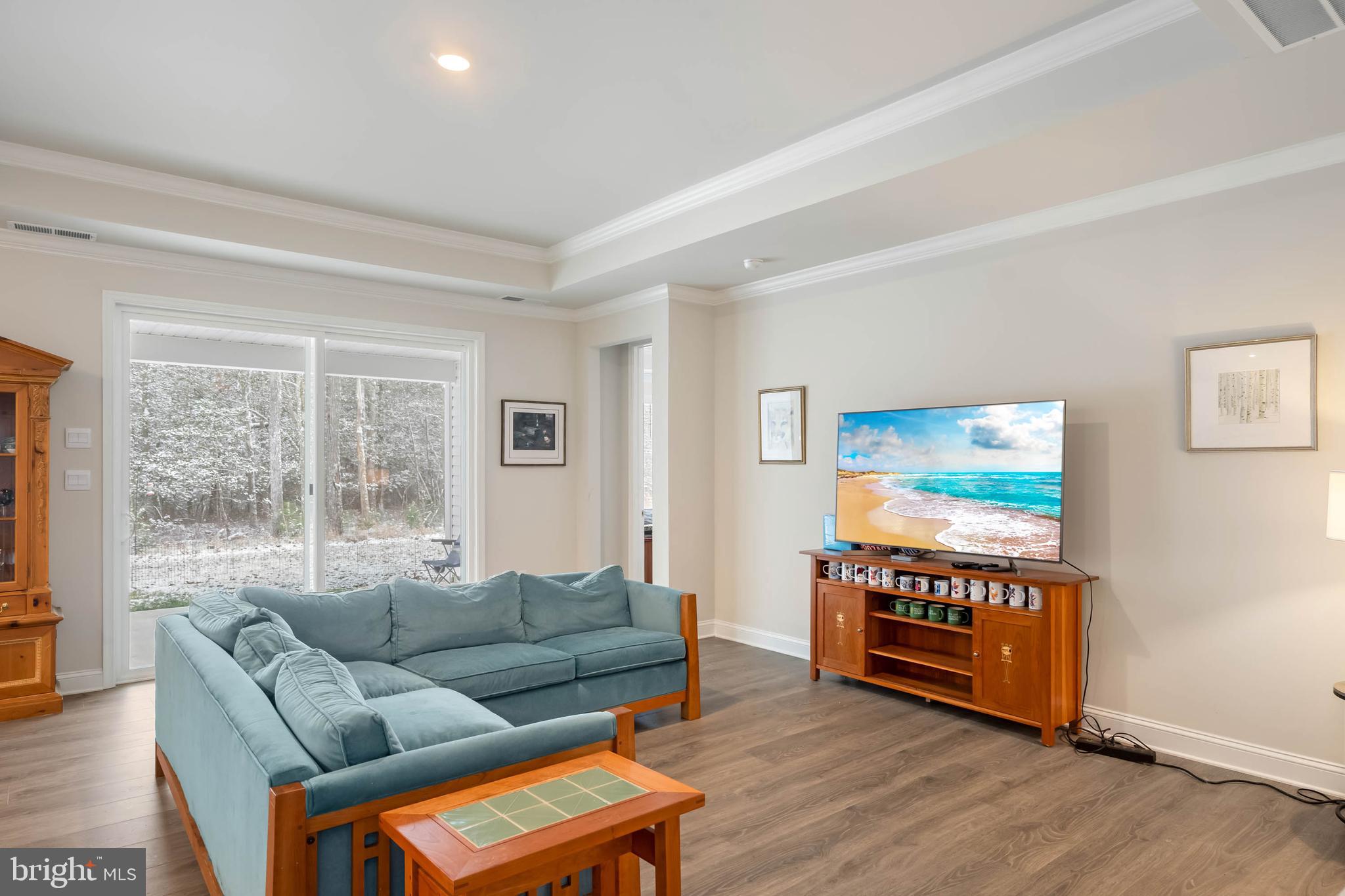 34084 Skyflower Loop Lewes, DE 19958 - Photo 22 of 50 a living room with furniture and a flat screen tv