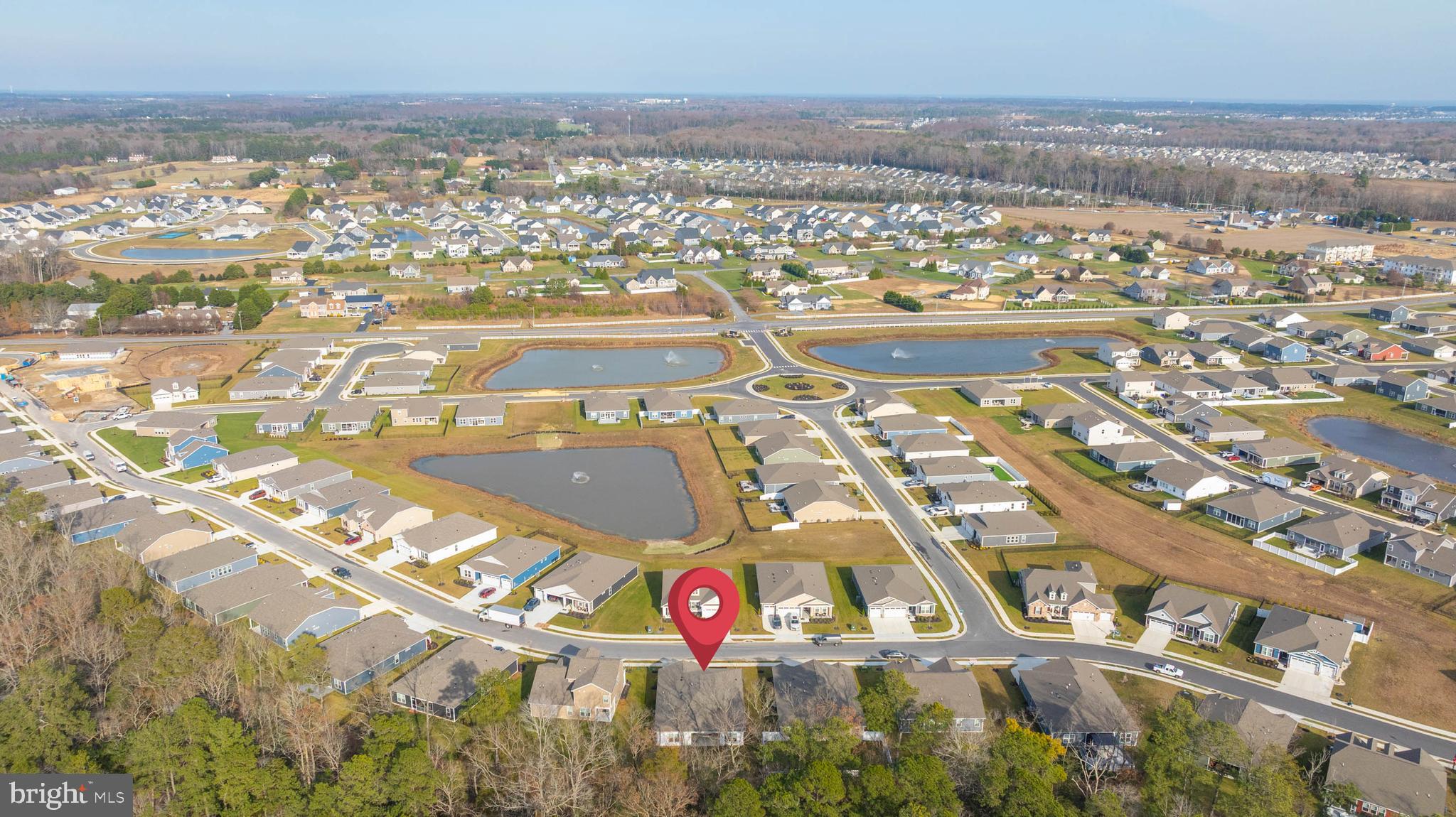 34084 Skyflower Loop Lewes, DE 19958 - Photo 9 of 50