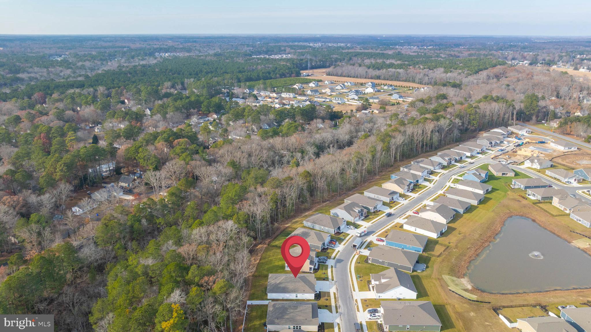 34084 Skyflower Loop Lewes, DE 19958 - Photo 10 of 50 a view of city and mountain