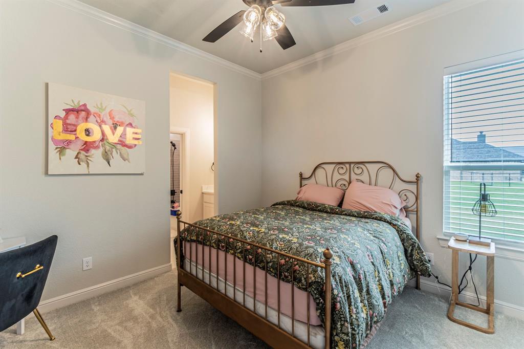 150 Las Brisas Drive Decatur, TX 76234 - Photo 19 of 32 Bedroom featuring crown molding, a ceiling fan, light carpet, and ensuite bathroom