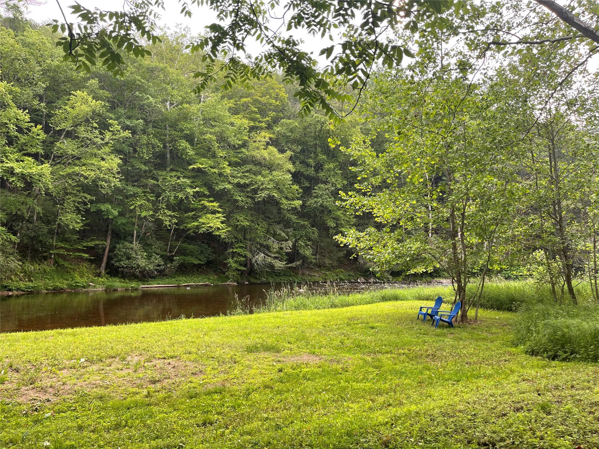 4261 State Rt 17B Callicoon, NY 12723 - Photo 8 of 37 a view of a yard with a trees