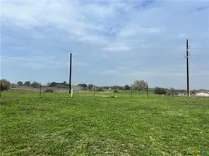 a view of a garden with a tree