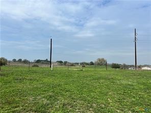 847 Hefner Lane Cuero, TX 77954 - Photo 14 of 48 a view of a garden with a tree
