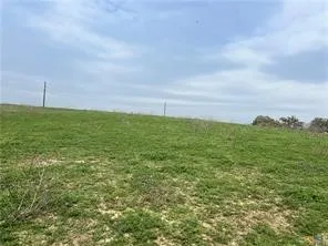 a view of a big yard with an tree and table