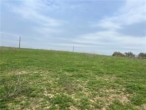 a view of a big yard with an tree and table
