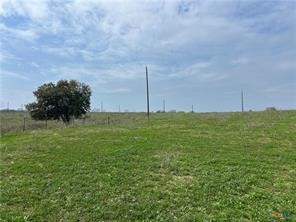 847 Hefner Lane Cuero, TX 77954 - Photo 16 of 48 a view of a green field