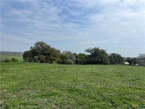 a view of a grassy field with trees