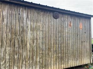a close up of a shower curtain