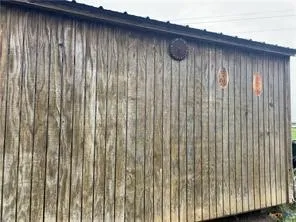 a close up of a shower curtain