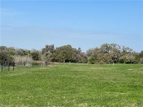 a view of grassy field with trees