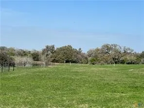 a view of grassy field with trees