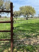 a view of a garden with an outdoor space