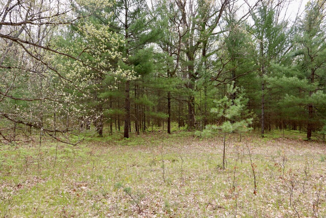 6153 South Branch Road Branch, MI 49402 - Photo 57 of 70 50