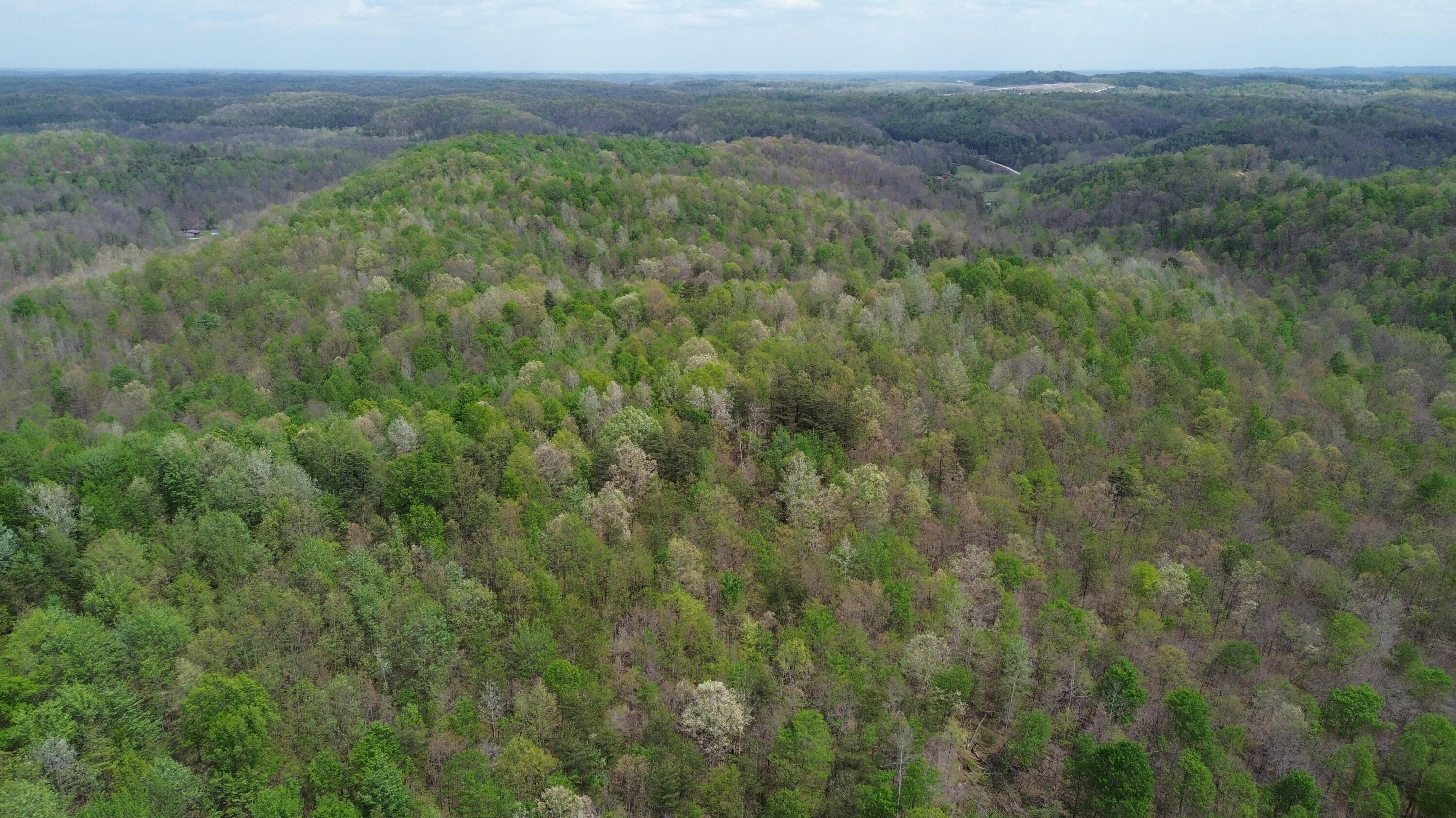 1271 A Tunnel Ridge Road Grayson, KY 41143 - Photo 54 of 134 Property View