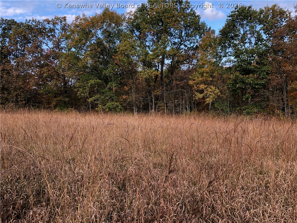 32-3 Long Hollow Road Letart, WV 25253 - Photo 5 of 19 Gallery Image 5