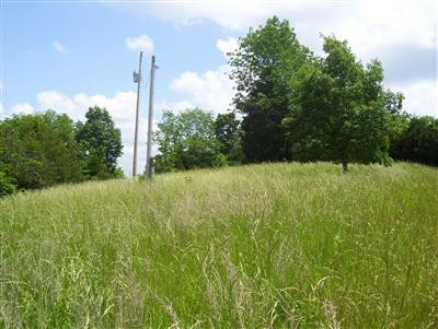 56 Liberty Ridge Road Falmouth, KY 41040 - Photo 4 of 11 Gallery Image 4