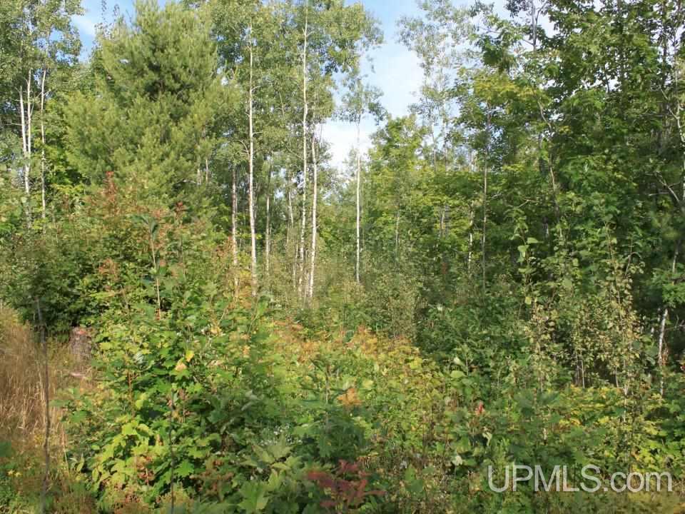 Tbd Shepards Ridge Road Lake Linden, MI 49945 - Photo 21 of 27 Gallery Image 21