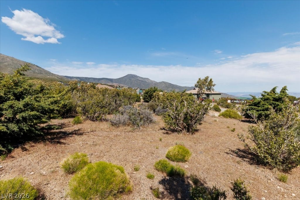 52 Birch Spring Cold Creek, NV 89124 - Photo 5 of 43 Off-road and horseback riding is abundant.