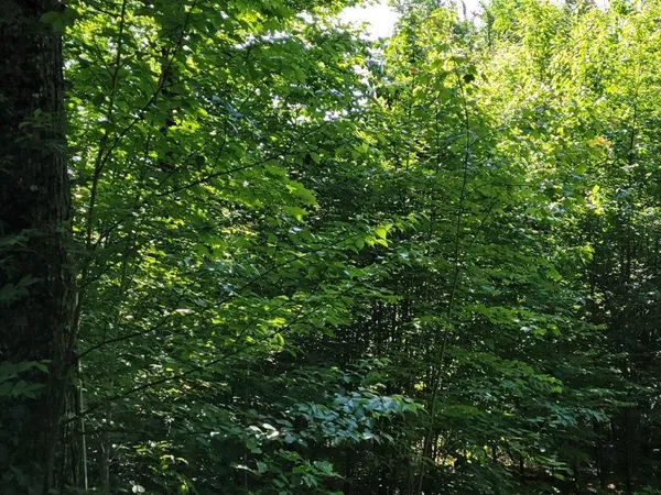 $185,000 | Lot 26 Presidential View Lane, Bethlehem, NH 03574