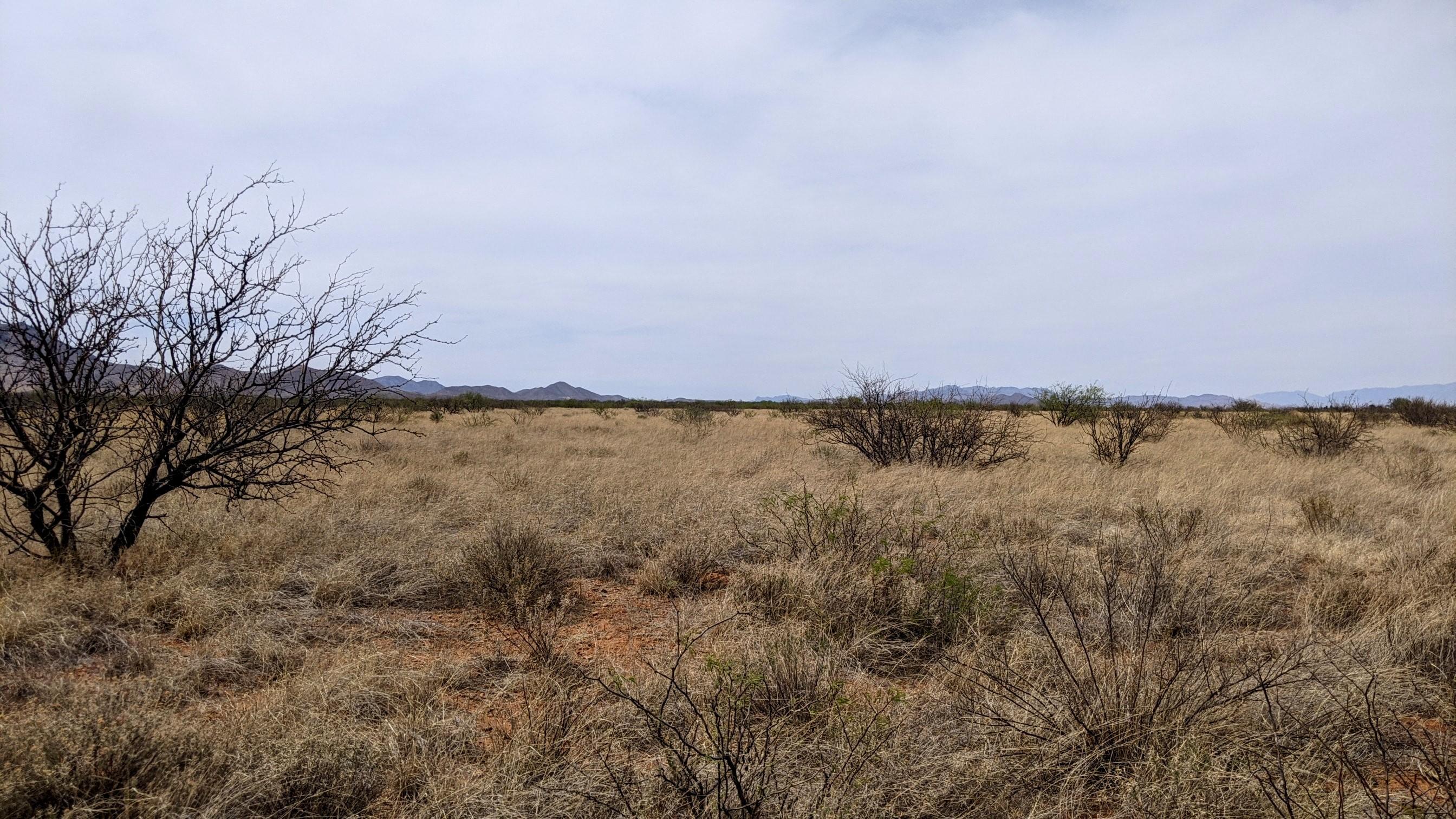 1.07 Acre Off Desert Road Cochise, AZ 85606 - Photo 11 of 20