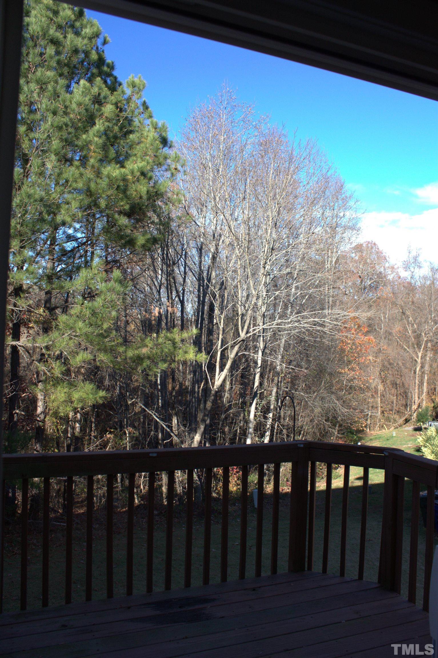 7802 Spungold Street Raleigh, NC 27617 - Photo 10 of 23 a view of a balcony with wooden fence